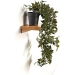 Heart Home Artificial Vine;Pine;Fern;Ivy Plants with Pot Natural Look & Plastic Material Easy Home Décor with Small Size Pot Size 27 X 75 X 7 Cm, Pack of 1 (Green)