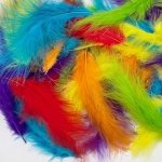Richa home decor natural dyed feather for dream catcher, mask decor, hanging ornaments decor, small and soft quality for crafts and other works 150 Pc's (Multi)