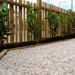 TrustBasket White Pebble Decorative Stones Marble Chips [1 Kg] for Aquarium Garden Indoor & Outdoor Decoration Pebble Stone White - (1 KG)