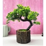 Dekorly Plastic Small Artificial Plant Bonsai Tree Fake Plant Potted House Plants Japanese Pine Bonsai Plant Faux Bonsai For Home Indoor Decoration Office(Wooden Potted Plants, Design-H)